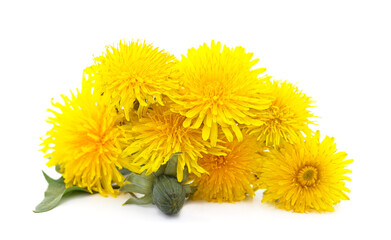 Bouquet of dandelion.