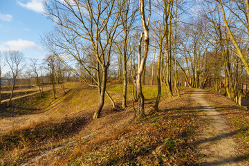 A path in the forest near the Fortress in Modlin. Nowy Dwor Mazowiecki, Poland.