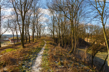 Fototapeta premium A path in the forest near the Fortress in Modlin. Nowy Dwor Mazowiecki, Poland.