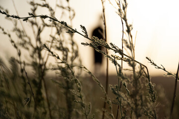 The yellow autumn grass is in focus in the foreground, with a soft defocus of the person standing in the back.