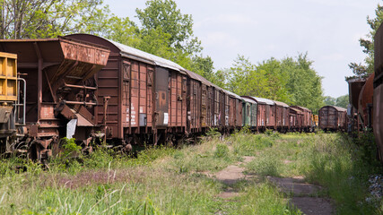 Fototapeta na wymiar Old and abandoned train wagons in a forest at a lost place railway station in austria