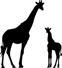Giraffe Silhouettes Giraffe SVG EPS PNG