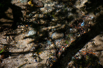 Crystal clear water with small stones at the bottom.