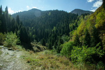 A beautiful landscape of summer mountains, filled with rich and vibrant colors.