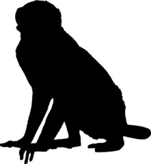 Monkey Silhouettes Monkey SVG EPS PNG