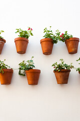 Fototapeta premium Flower pots in the street in old Cordoba