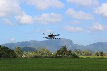 Fototapeta na wymiar Agricultural drone use to spray pesticides in paddy field