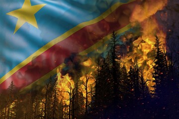 Forest fire natural disaster concept - heavy fire in the woods on Democratic Republic of Congo flag background - 3D illustration of nature