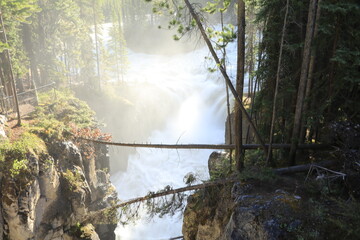 Beautiful day at the Athabasca falls. Wonderful road trip through Banff and Jasper national park in British Columbia, Canada. An amazing day in Vancouver. What a beautiful nature in Canada.