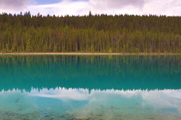 Beautiful blue lakes in Jasper national park. Wonderful road trip through Banff and Jasper national park in British Columbia, Canada. An amazing day in Vancouver. What a beautiful nature in Canada.