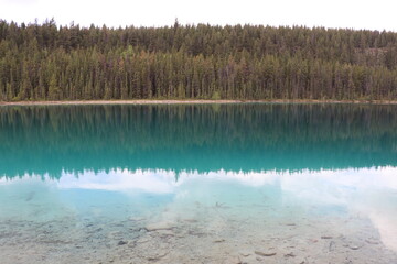 Beautiful blue lakes in Jasper national park. Wonderful road trip through Banff and Jasper national park in British Columbia, Canada. An amazing day in Vancouver. What a beautiful nature in Canada.