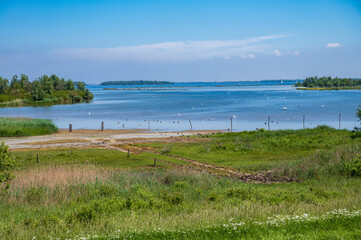 Green nature landscape of Zeeland, Netherlands,