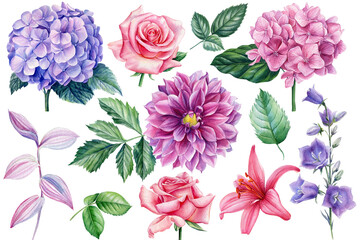 Watercolor dahlia, hydrangea, lily and rose flower on isolated white background.