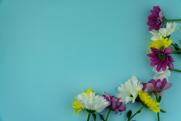 background image of flowers. multicolored flowers on a blue background