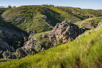 Wild herbs on cliff, viewpoint to canyon with rocky trail where there are religious statues in...