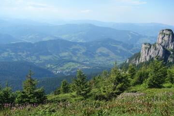 Obraz premium Carpathian mountains