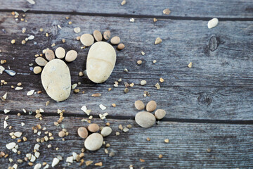 Fototapeta na wymiar Funny footprints of a man and a dog made of stones on a wooden background.