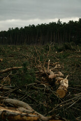 pobojowisko © Kornel