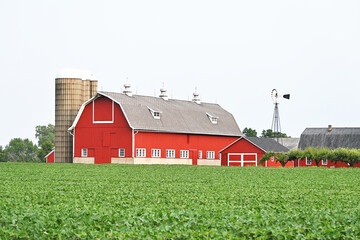 Obraz premium Barns and Windmill