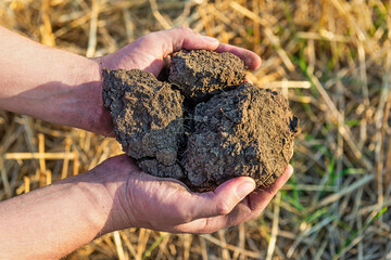 Soil in hands