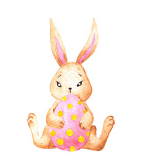 Watercolor hand drawn illustration with sitting fluffy bunny rabbit holding pink easter egg with yellow spot. Cute aquarelle hand painted design decoration element