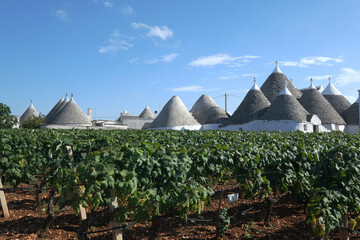 Beautiful Puglia landscape with traditional old Trullo or Trulli houses with vineyard, Puglia, Italy - obrazy, fototapety, plakaty