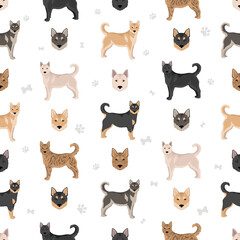 Korean Jindo seamless pattern. Different poses, coat colors set