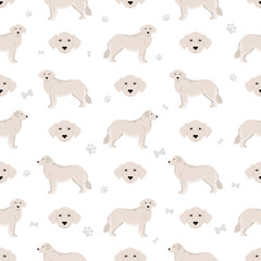 Kuvasz seamless pattern. Different poses, coat colors set