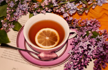 Spring landscape. Blooming lilac close-up. Branches of beautiful lilac flowers. Bright spring background with lilac.Lilac flowers