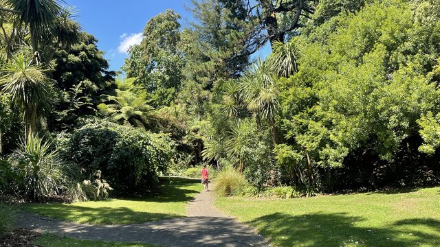 Walking Through Memorial Park In Hamilton East New Zealand 