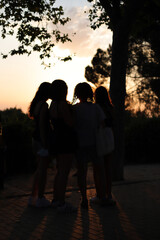 Naklejka na ściany i meble grupo de amigas viendo la puesta del sol en el ocaso
