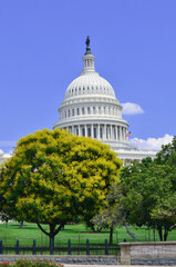 us capitol building - Washington dc united states