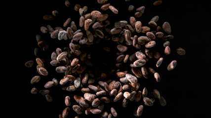 Rotating Raw Cocoa Beans on Black Background, Top Shot.