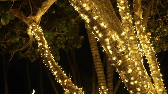 Big tropical tree trunk decorated with Christmas lights. Happy New Year, holiday atmosphere.