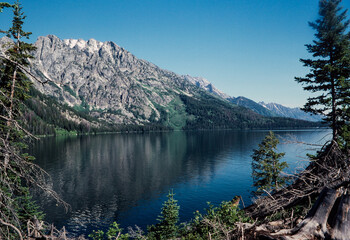 Fototapeta na wymiar Jenny Lake in Grand Teton National Park.