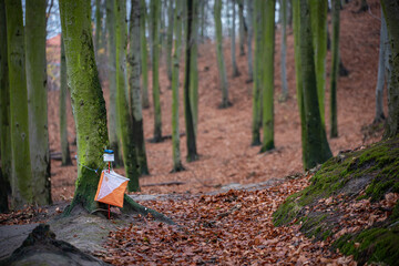 Orienteering - autumn © Micha