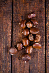 Edible chestnut, top view