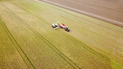 Erntearbeiten aus der Vogelperspektive: Feldhäcksler und Traktor mit Anhänger bei der Ernte auf...