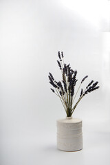 Lavender flowers in white vase agains white background.  Vertical shot with copy space in the left part of photo.