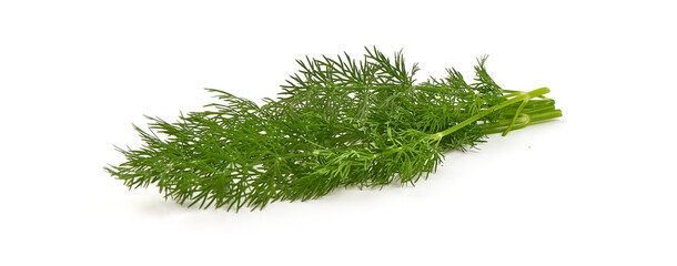 Bunch fresh green dill isolated on white background.