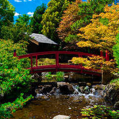 Fototapeta na wymiar Bridge in Japanese garden 