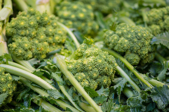 Cime di rapa, rapini or broccoli rabe in a street food market, green cruciferous vegetable, veggies, mediterranean cuisine, Puglia, Italy