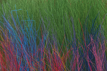 Mixed color painting on grass bush in a park
