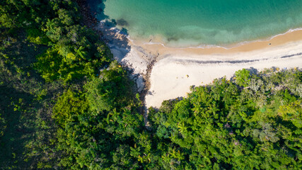 Beautiful deserted beach in Ubatuba, São Paulo, Brazil.
Atlantic forest, yellow sand and clear sea water. Figueira beach paradise.