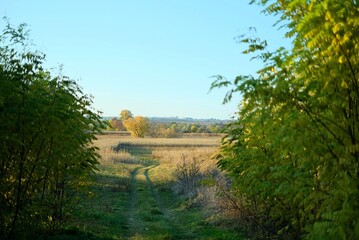 field, autumn landscape in Ukraine