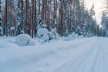 Beautiful landscape with a view of a snowy forest, road, cold