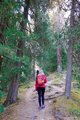 Obraz premium Young woman trekking in Triglav National Park, Slovenja, Europe