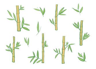 Bamboo asian plant vector illustrations set