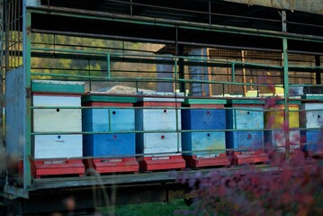 colorful beehive in the village in Ukraine, Dnipro