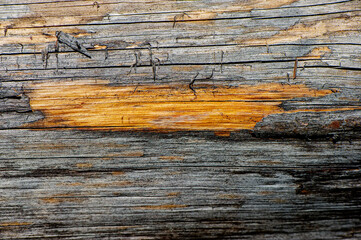 Gray old board with cracks on the surface.
